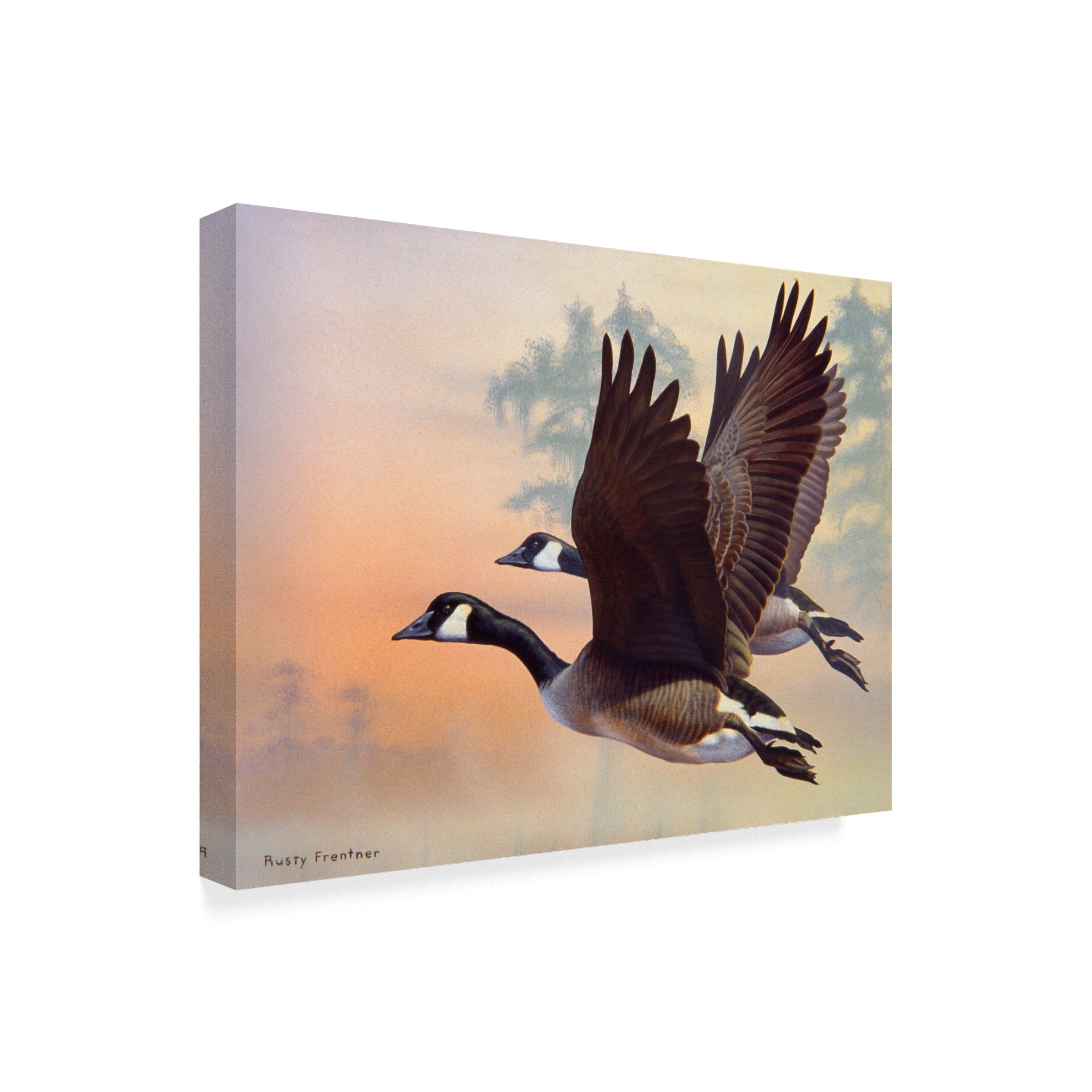 Trademark Fine Art 'Canada Geese' Canvas Art by Rusty Frentner
