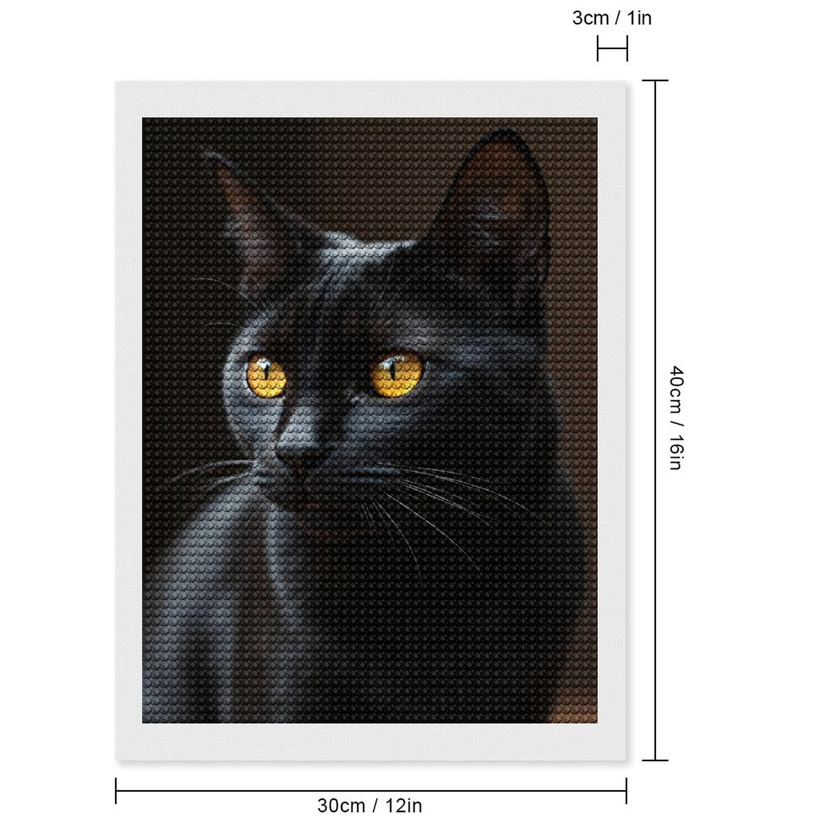 Diamond Art Kits for Adults, Black Cat Golden Eyes Portrait 5D Diamond Painting Kits for Adults Beginners, DIY Full Drill Diamond Painting, Gem Art and Crafts 12x16