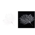 thumbnail image 1 of 2 Uds., Rama de Planta Seca Artificial, Floristería de , Decoración, Planta de Escritorio perfke Árbol artificial seco falso, 1 of 7