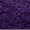 Grape Purple, variant on Noahas Soft Fluffy Area Rug for Living Room Bedroom Shaggy Accent Carpets for Kids Girls Rooms,8'x10',Grape Purple