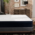 thumbnail image 6 of Newboti Furniture Hybrid 13 Inch Plush King Mattress with Pocketed Coils BN.9027, 6 of 8