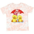 thumbnail image 3 of Inktastic Big Sister Duck Girls Toddler T-Shirt, 3 of 5