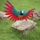 thumbnail image 5 of Figura decorativa de loro de simulación, modelo de loro con plumas, adorno artístico artesanal Estilo F, 5 of 8