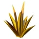 thumbnail image 2 of Xihbxyly Escultura de Planta de Tequila de Hierro, Diseño Único Artesanal, Estilo Agave con Detalles En Azul, Elegante Decoración para Jardín, Uso Interior y Exterior, 35 Cm de Altura, Arte Personali, 2 of 4