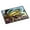 Multicolored, variant on Carolines Treasures PTW2038MAT Brook Trout Door Mat Indoor Rug or Outdoor Welcome Mat 18x27 Doormat 18H X 27W