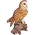 thumbnail image 3 of Statue Réaliste de Barn Owl Perchée sur Souche d'Arbre avec Yeux en Verre 13,75 Po H, 3 of 4