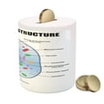 thumbnail image 3 of Science Piggy Bank, Microbiology Theme Animal Cell Structure Genetic Research Study Science, Ceramic Coin Bank Money Box for Cash Saving, 3.6" X 3.2", Multicolor, by Ambesonne, 3 of 4