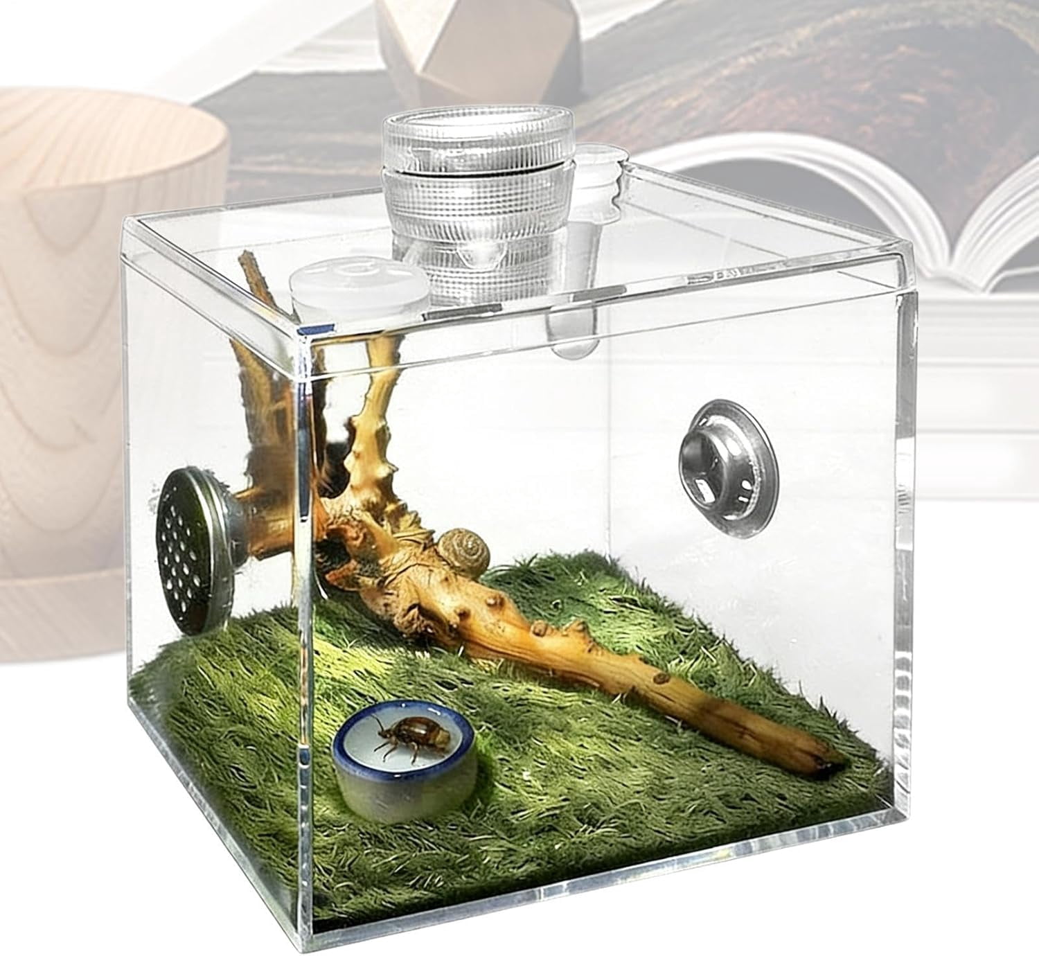 Acrylic Terrarium for Small Reptiles, Jumping Spider, Snail, Mantis