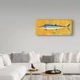 thumbnail image 3 of Trademark Fine Art 'Wahoo' Canvas Art by John W. Golden, 3 of 3