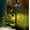 Textured Black, variant on Kichler 21"H Dome Textured Black Dome Landscape Path Light