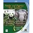 thumbnail image 2 of Borneo's Pygmy Elephants/Géant Panda Lot de 2 [Blu-ray], 2 of 2