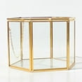 thumbnail image 2 of 3x Terrario Geométrico De Hexagonal Fern Moss Desktop Planter Box, 2 of 8