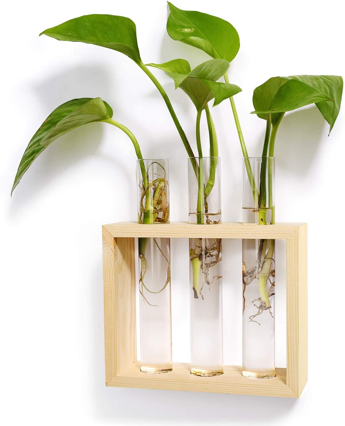 Hanging Propagation Station Can Stand on it’s Own Water Propagation Pick a Size Hydroponic station 7 Vial • 5 Vial • 3 Vial Hanging Propagation Station Can Stand on it’s Own Water Propagation Pick a Size Hydroponic station 7 Vial • 5 Vial • 3 Vial