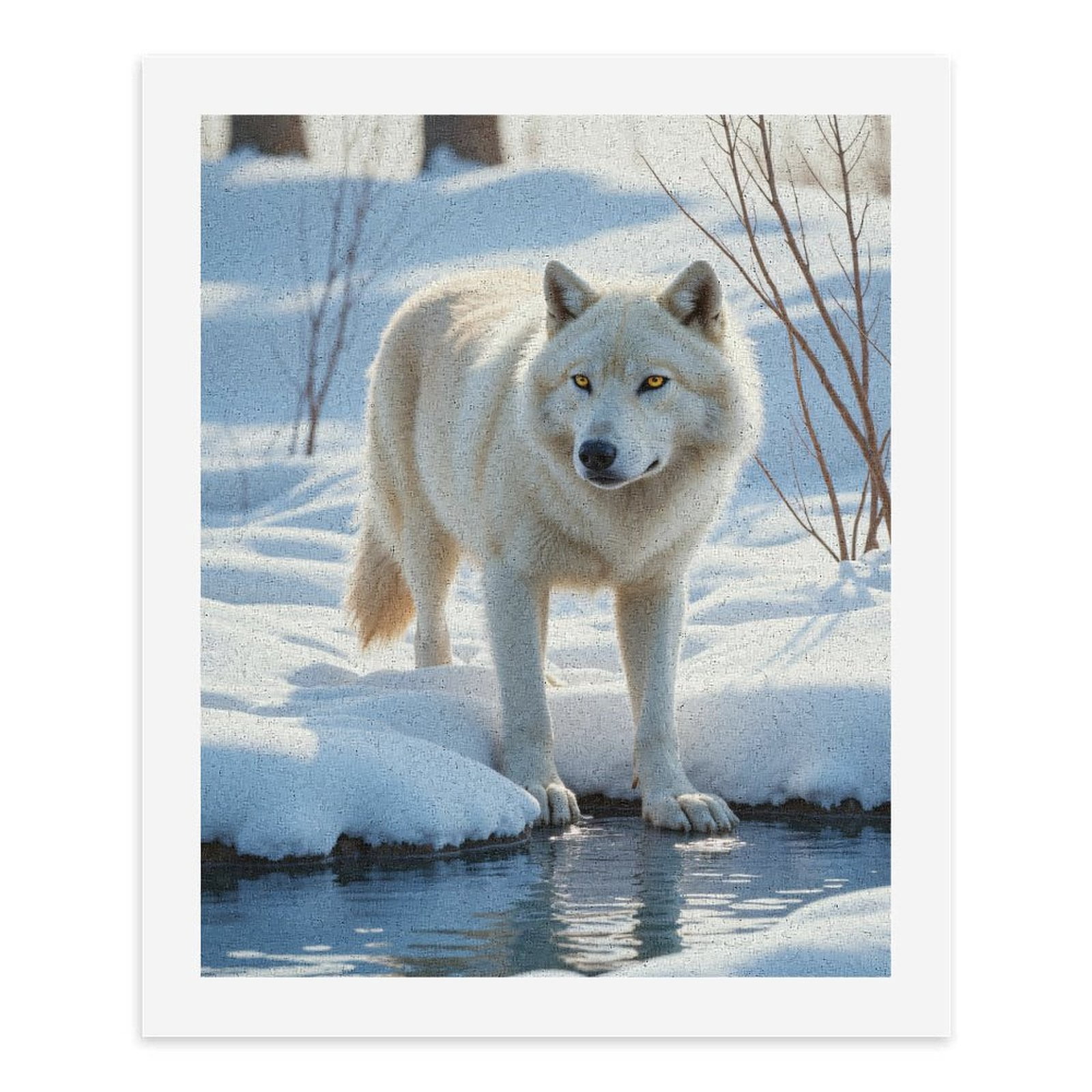 Paint by Numbers Kit for Adults, Wolf In Snowy Wilderness Paint by Numbers, Easy Paint by Numbers Kit for Adults Beginner, DIY Adult Paint by Number Kits on Canvas, Home Decor