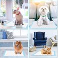 thumbnail image 2 of 100 Pack Puppy Training Pads For Dog Pet Pee Absorbent Toilet Pee Wee Mat Anti Slip Leakproof (100 Pack-45 * 33cm), 2 of 5