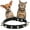 Black-pu, variant on 1Pack Spiked Dog Collar for Small Dogs, Mushrooms Rivet Soft Pu Leather Spike Stud Studded Cat Collar Adjustable for Mini Tiny Breed Pet Teacup Puppy