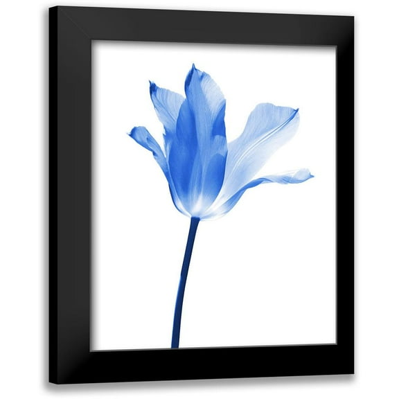 Schell, Jennie Marie 12x14 Black Modern Framed Museum Art Print Titled - Blue Tulip Flower