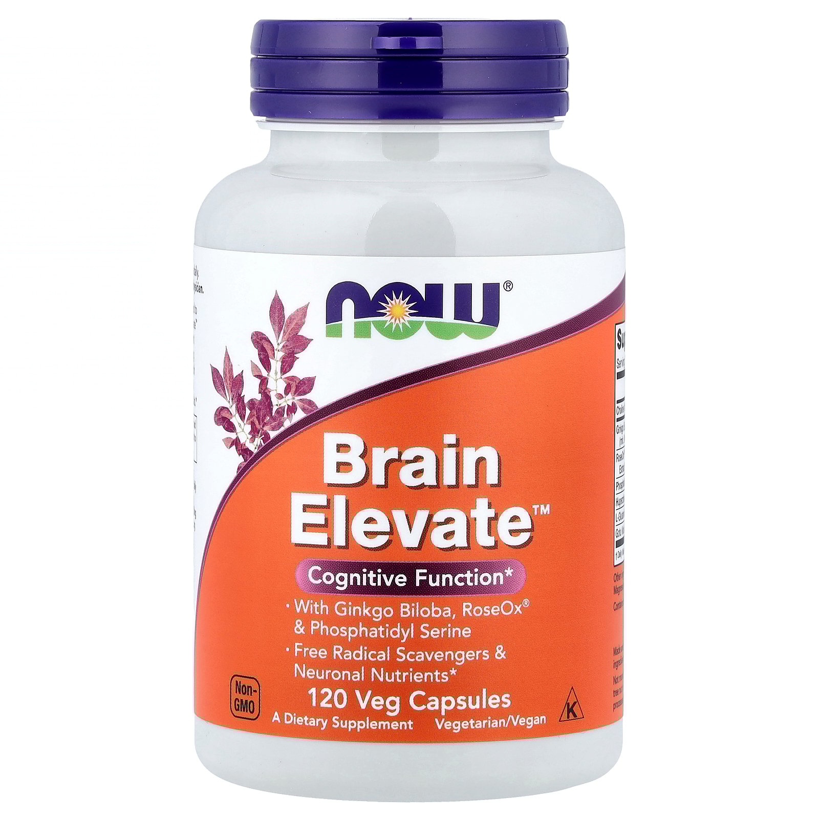 NOW Supplements, Brain Elevate, Featuring Ginkgo Biloba, RoseOx and Phosphatidyl Serine, 120 Veg Capsules