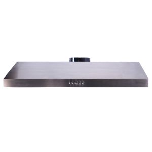 Turin Swift Pro Acier inoxydable 400 CFM Sous le capot du Cabinet 30-in