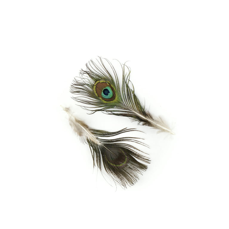 Vintage White With Peacock Eye Feather Pad Millinery Decoration