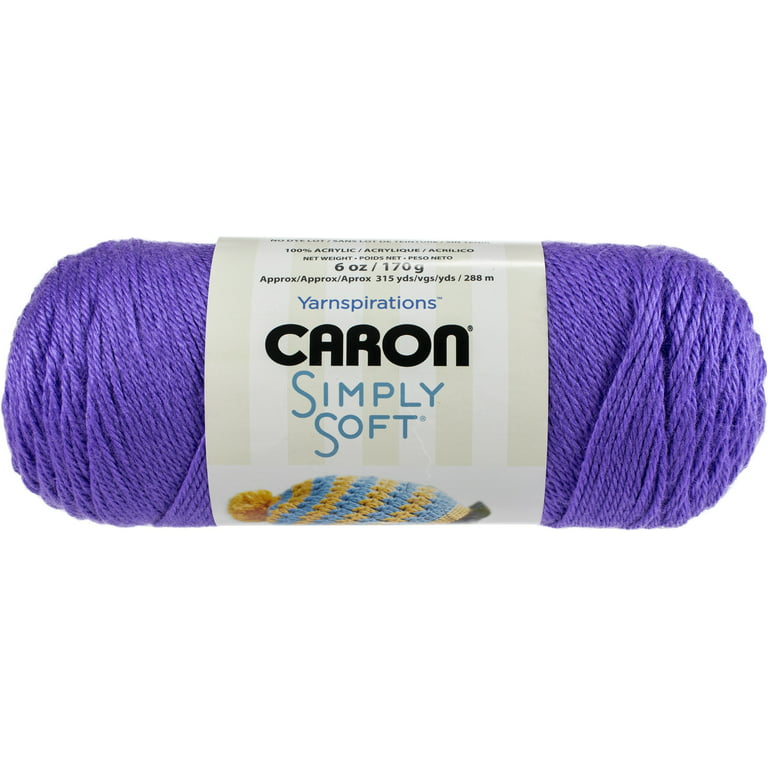 Caron Simply Soft Brites Yarn Grape, Multipack of 3