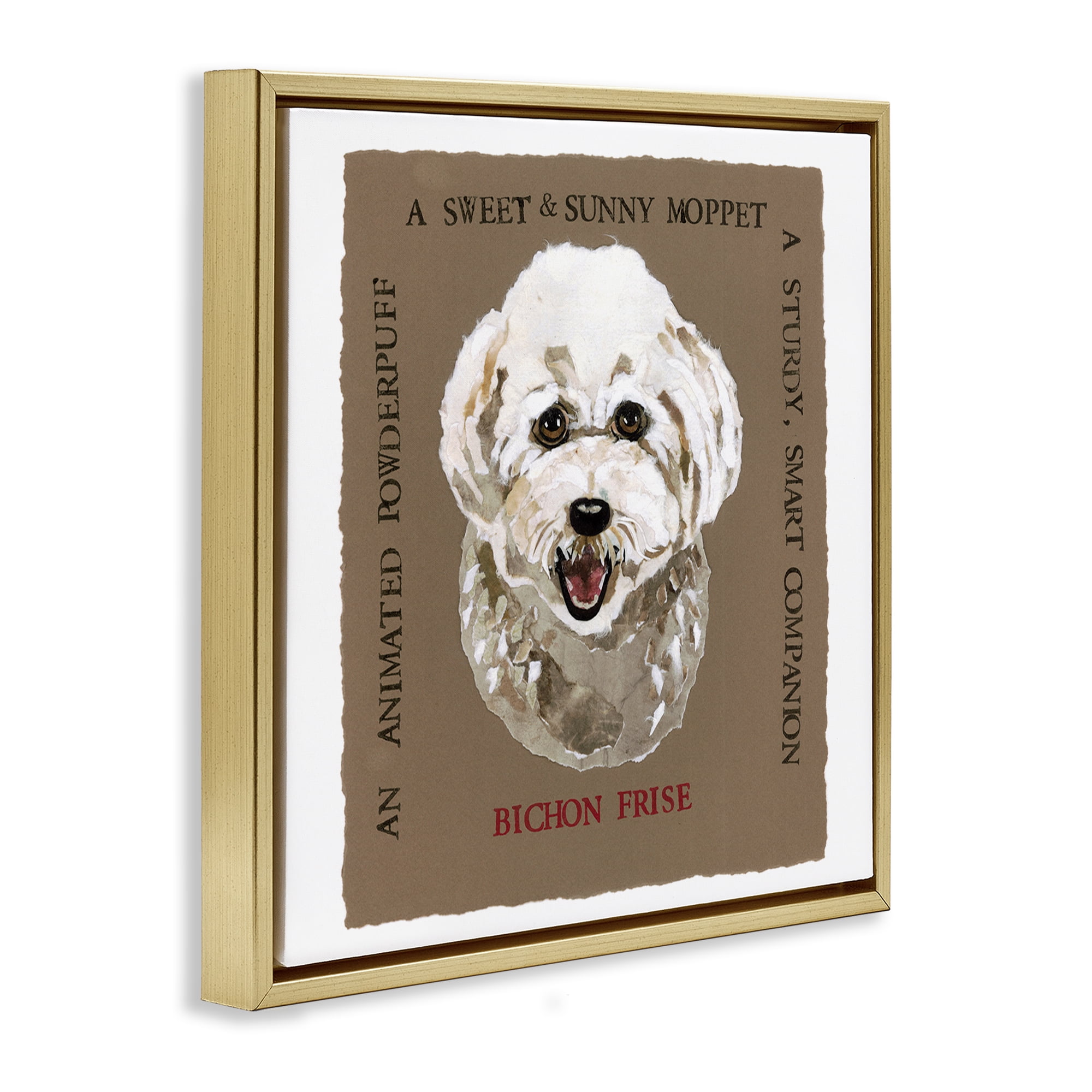 Stupell Industries Fun Bichon Frise Phrases Animals Painting Gold Floater Framed Canvas Art Print Wall Art, 25 x 25