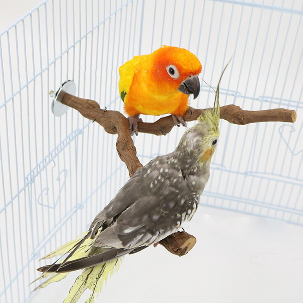 natural parrot stand