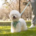 thumbnail image 7 of Dog Harness and Leash Set, No Pull Pet Harness for Small Dogs Easy Walking,Soft Breathable Small Dog Harness,Adjustable Reflective Step in Vest Harness for Puppy,Kitten, Cats, 7 of 7