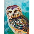 thumbnail image 2 of Beauchamp, Andy 11x14 White Modern Wood Framed Museum Art Print Titled - Colorful Owl, 2 of 4