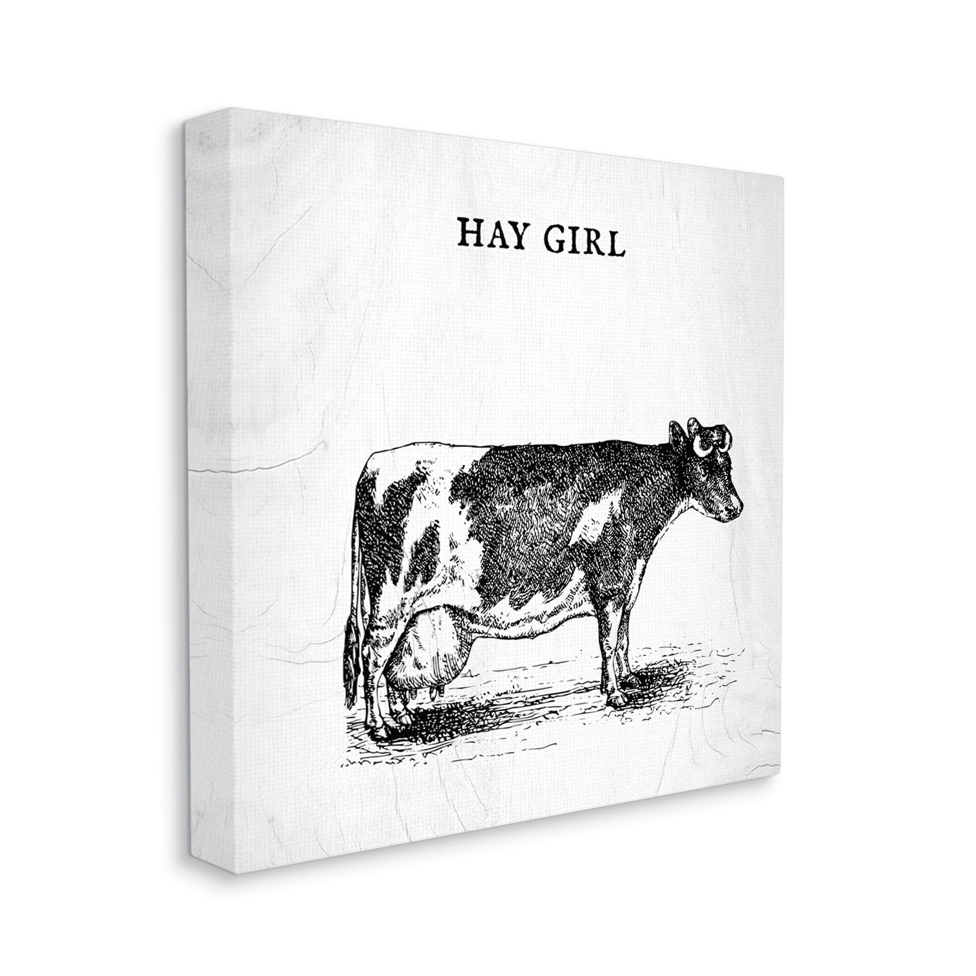 Stupell Industries Hay Girl Funny Phrase Farmhouse Dairy Cow Pun, 17 x 17,Design by Daphne Polselli