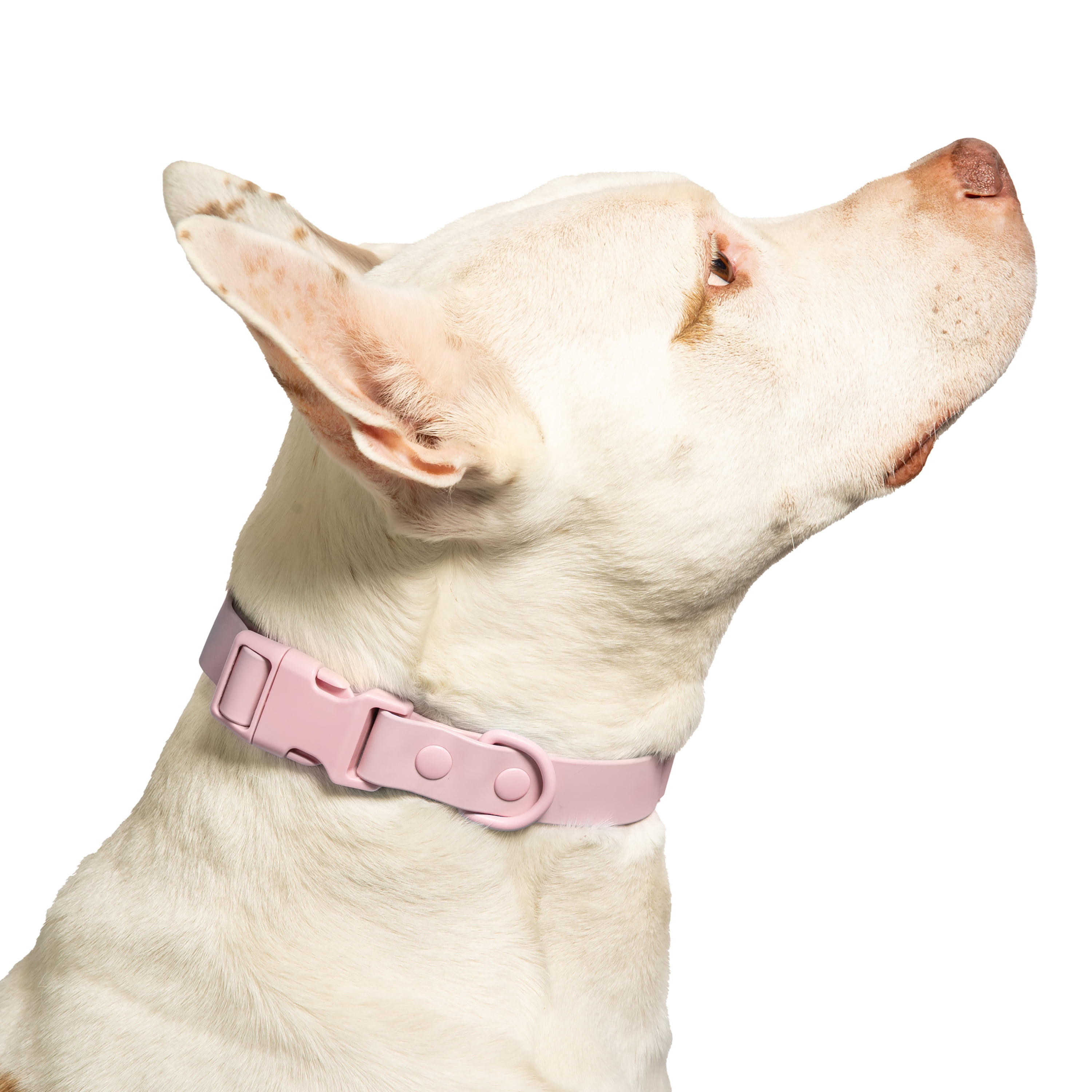 Vibrant Life Water Resistant Adjustable Dog Collar, Pink, L
