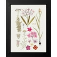 thumbnail image 2 of Lettered And Lined 12x14 Black Modern Framed Museum Art Print Titled - Vintage Bloom Study, 2 of 5