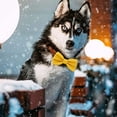 thumbnail image 3 of Large Dogs Collar Attachment Bow Ties Embellishment Girls Boys Medium, 3 of 5