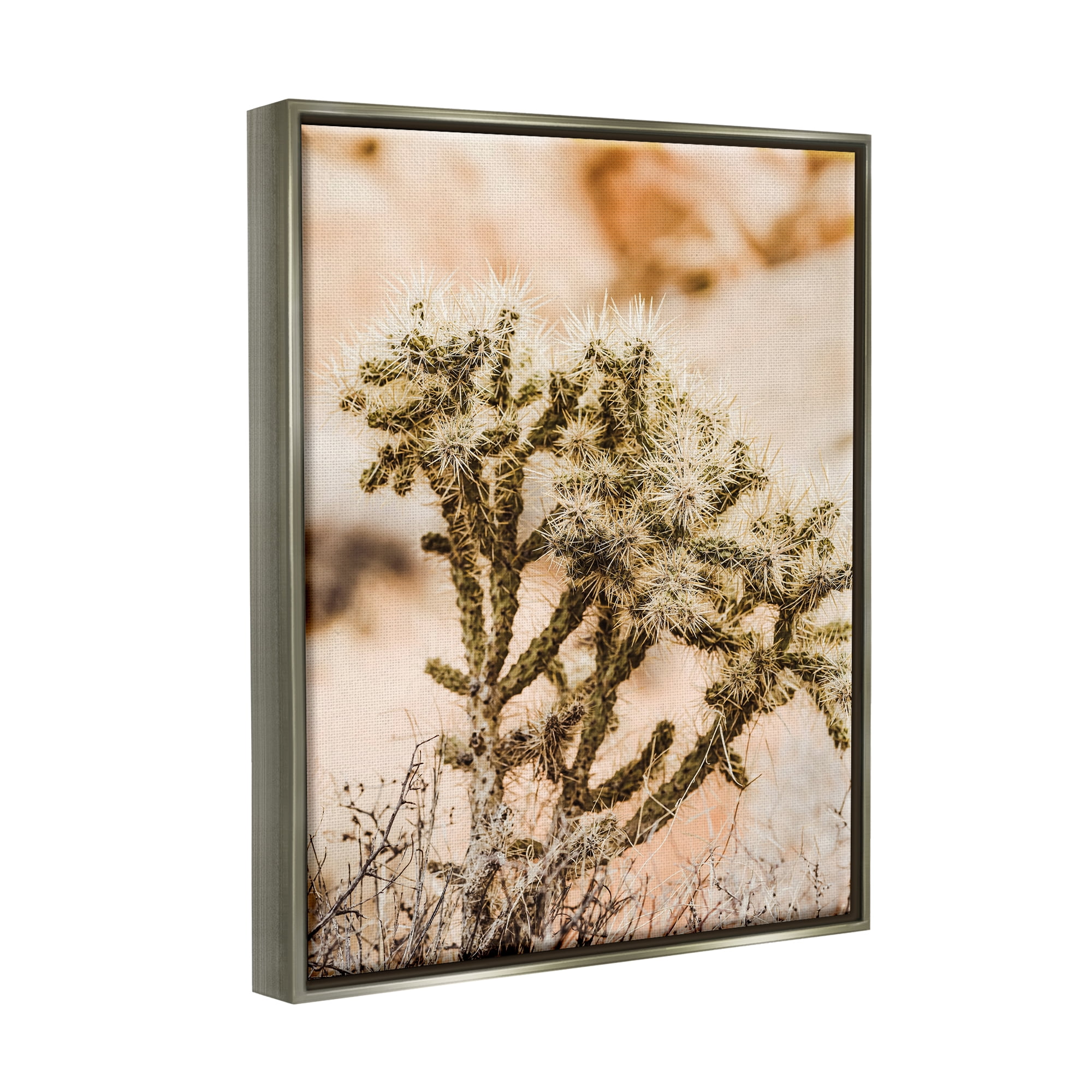 Stupell Arid Cactus Desert Plant Photography Landscape Photography Gray Floater Framed Art Print Wall Art
