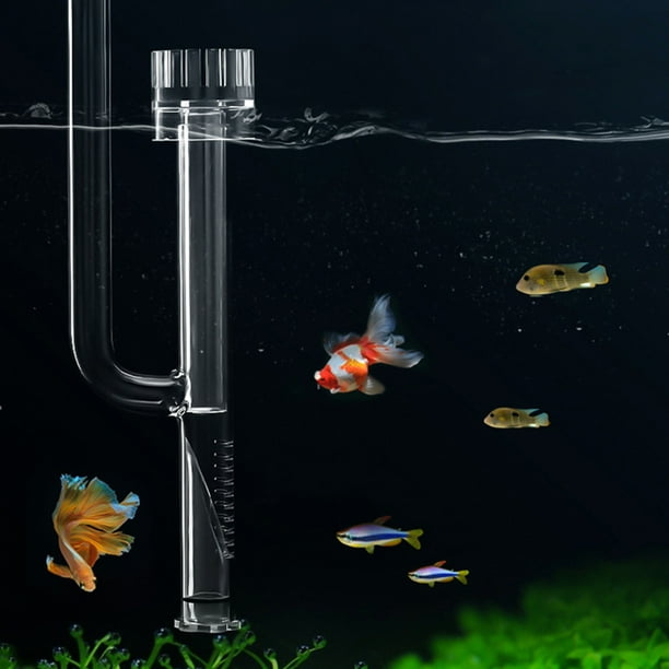 Mini Glass Lily Pipe Skimmer Inflow Filter System Aquarium Fish Tank  Supplies Accessories 