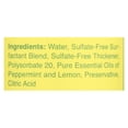thumbnail image 2 of Rebel Green: Dish Soap Peppermint Lemon, 16 Oz, 2 of 2