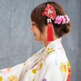 thumbnail image 1 of Hair Ornament Women Hairpin Ornament With Tassel Women Fan Shape Hair Clip Teen Girls Hair Clip Ornament Women Hair Accessory, 1 of 1