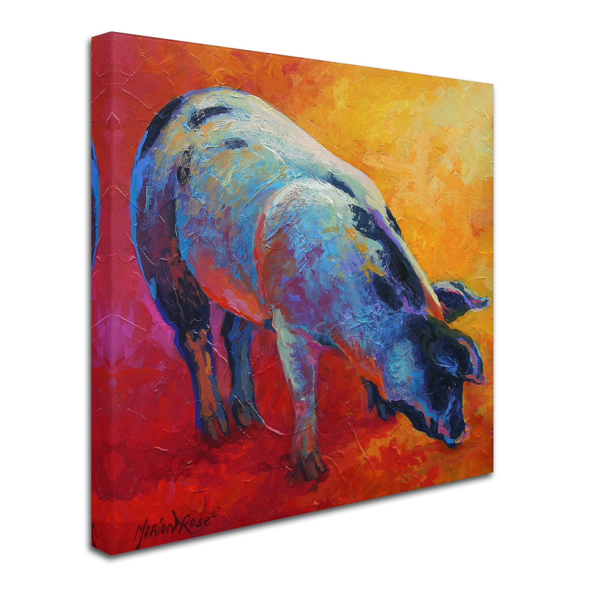 Trademark Fine Art 'Pig' Canvas Art by Marion Rose