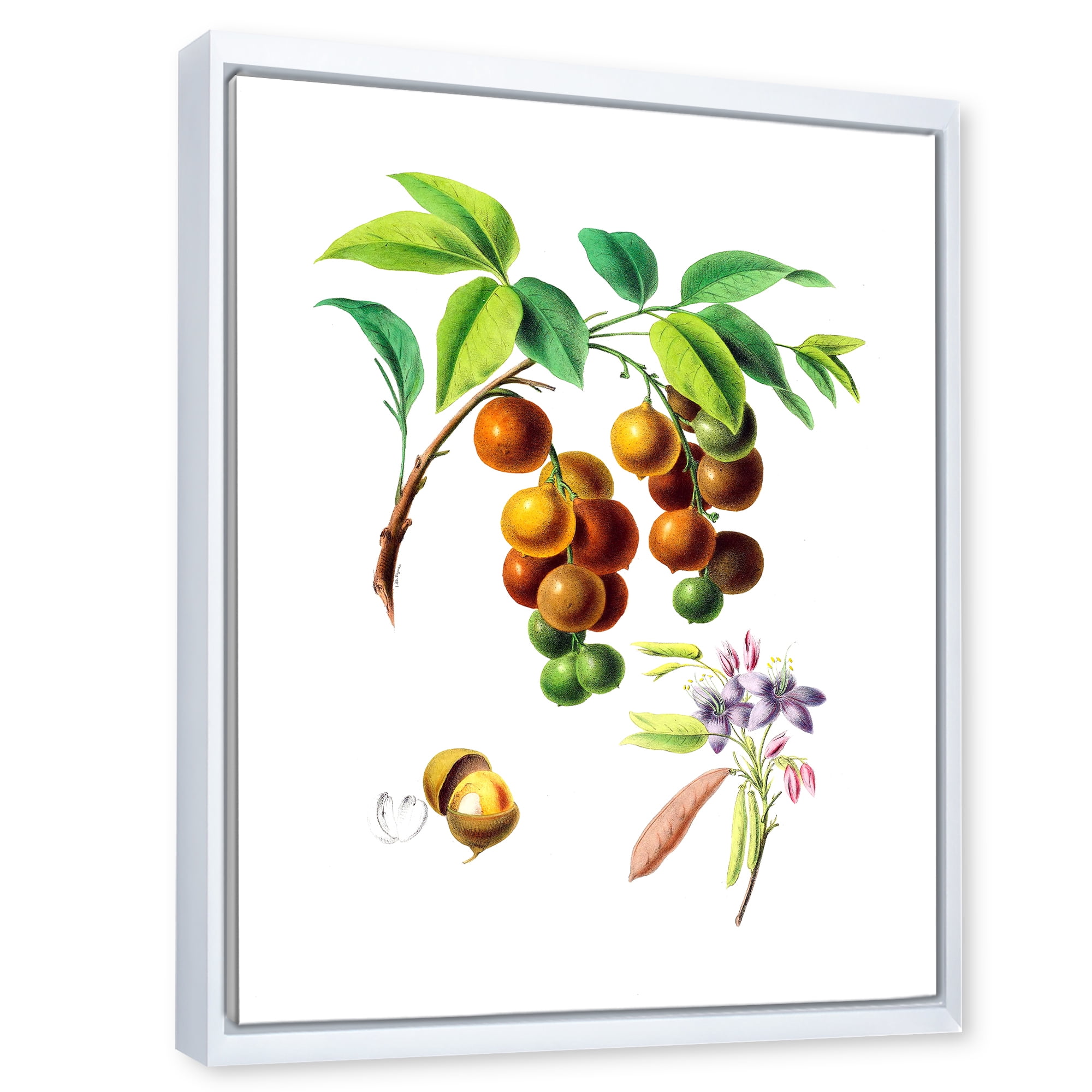 Designart 'Ancient Fruits III' Farmhouse Framed Canvas Wall Art Print