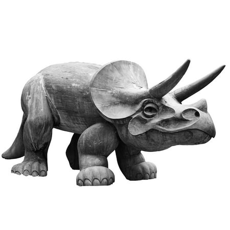 Dinosaur Fossil Pictures LAMINATED POSTER Horned Beast Herbivore Fossil Animal Dinosaur Poster Print 24 x 36 ()
