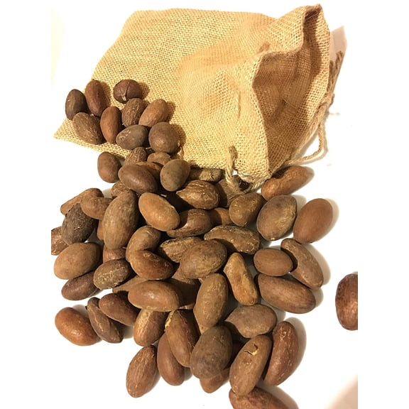 African fresh Organic BITTER KOLA (Garcinia Kola) 1.5 lb