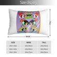 thumbnail image 4 of Fundas de almohada de Las Chicas Superpoderosas, fundas de almohada mullidas súper suaves y acogedoras con cremallera, 20 x 30 pulgadas, dormitorio, sofá, sillón, funda de almohada para todas las, 4 of 8