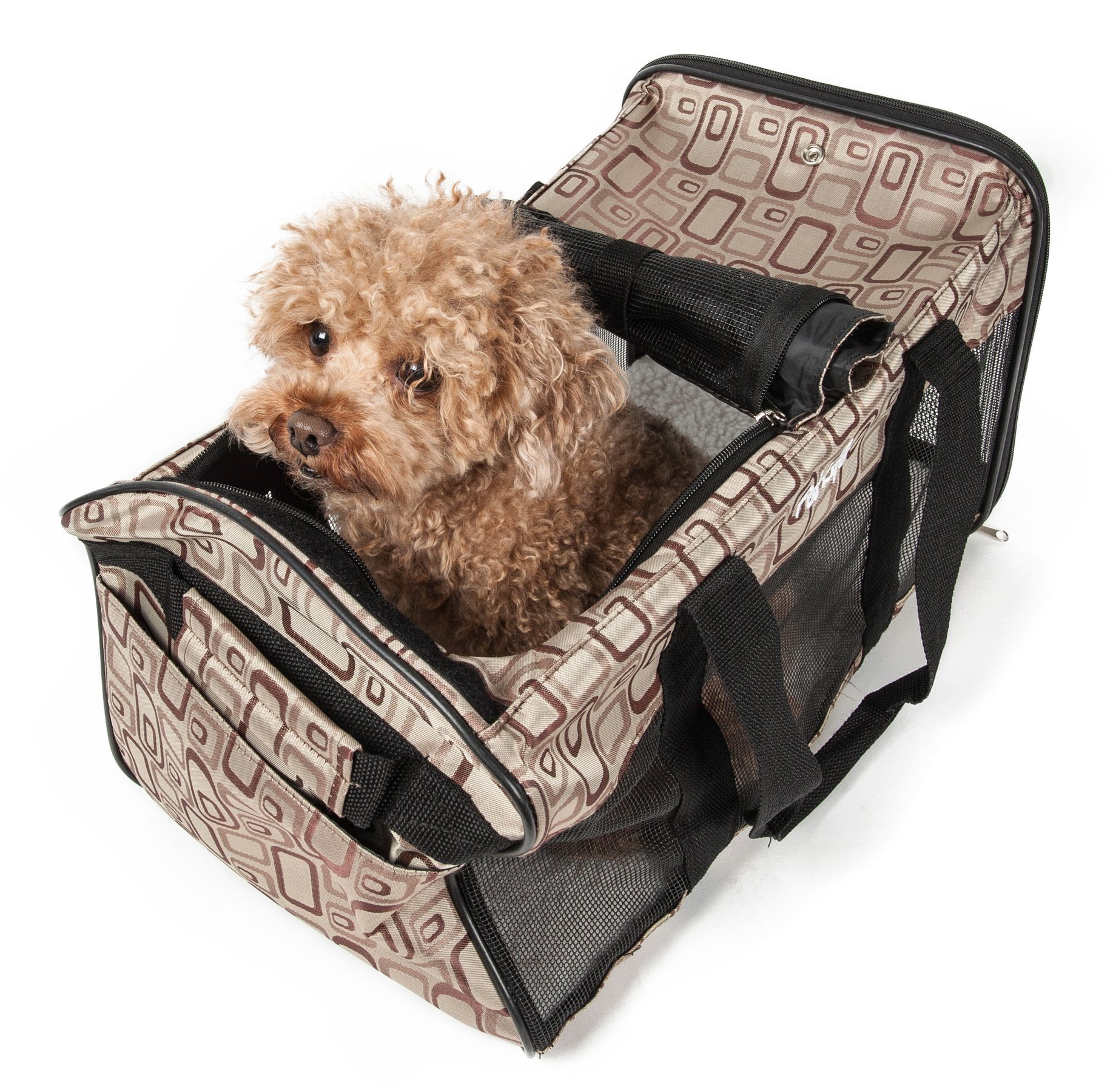 travel approved pet carrier