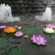thumbnail image 3 of KonstgjordflytandenäckrosEvaLotusDammDekoration10cmArtificiellLotus-Xin, 3 of 5