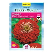 Ferry-Morse 370MG Zinnia Giant Double Scarlet Colors Annual Flower Seeds Full Sun