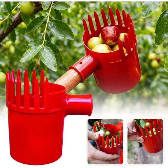Berry Picker Scoop, Berry Picking Rake with Comb and Ergonomic Handle,Portable Fruit Picker Catcher Picking Tool, Fruits Blueberry Pickers Harvesting Tool for Fruit Tree, Gardening Equipment
