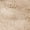 Tan, variant on Softlife Soft Plush Tie Dye Velvet Rugs for Home Decor,Fluffy carpet For Living Room,Bedroom,8'x10',Tan