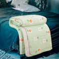 thumbnail image 5 of CUITING Lightweight Summer Quilt Queen Size Quilted Washed Cotton Conditioner Napping Quilt For Kids Adult Skin-Friendly, 5 of 5