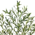 thumbnail image 3 of Lyacmy 6ft Artificial Olive Tree with Realistic Leaves and Natural Trunk, Faux Potted Plants with Black Plastic Pot for Home Office Decor, 3 of 9