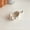 B Short-legged cats, variant on CHUNTIAN Korean Three-dimensional Cute Cat Ceramic Dipping Saucer Tableware Seasonings Flavor Plate Soy Sauce Vinegar Sauce Small Plate